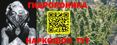 гидропоника Чебоксары