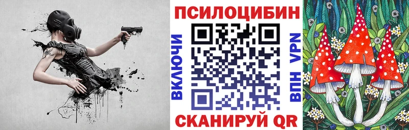 Галлюциногенные грибы Cubensis Алейск